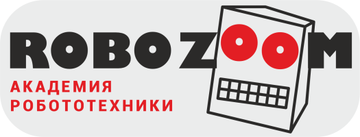 RoboZoom Academy
